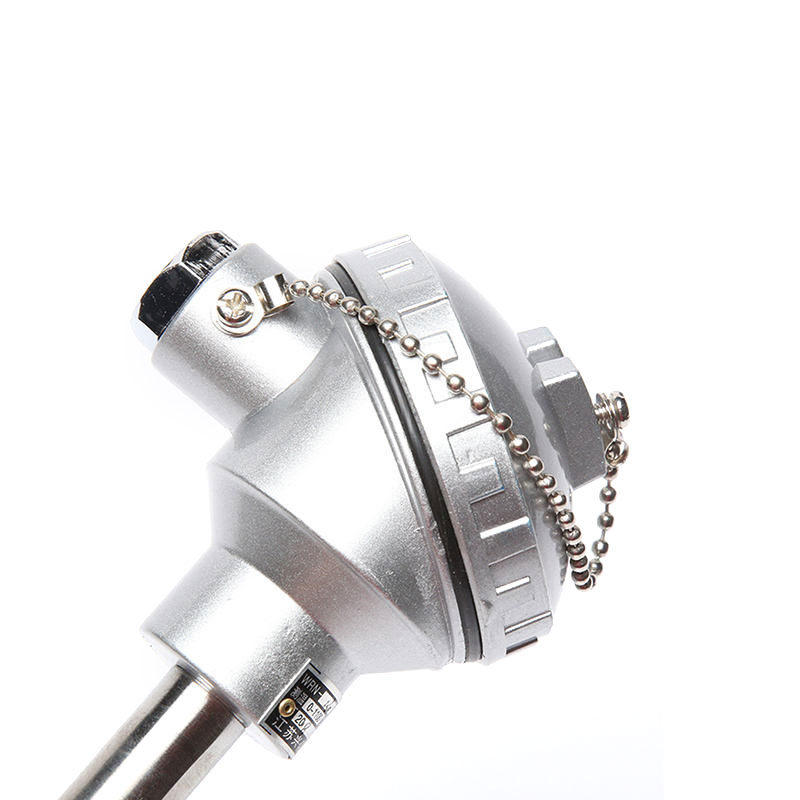 Sonde de capteur haute température pour four thermocouple platine-rhodium de type S/B/R de 0,2–0,4 mm de diamètre pour métaux en fusion