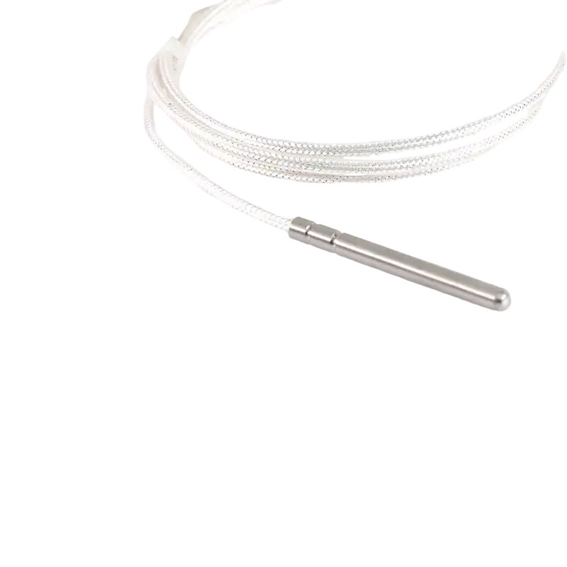 Capteur de température industriel PT100 RTD, thermistance en platine à 3 fils, sonde thermocouple de 50 mm