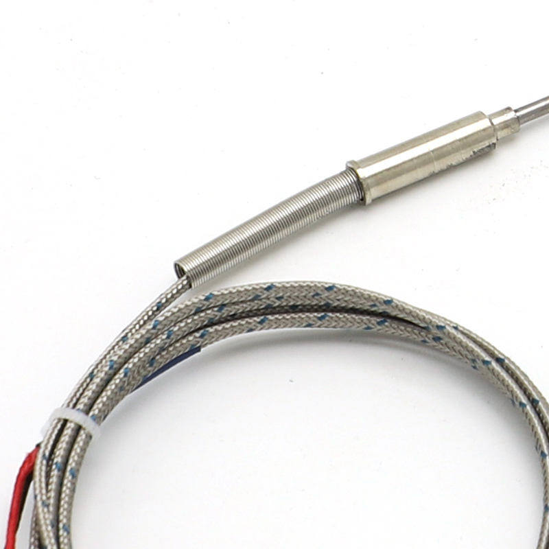 Thermocouple flexible blindé à aiguilles, type K, thermocouple haute température et haute précision à 2 fils avec capteur RTD PT100 étendu