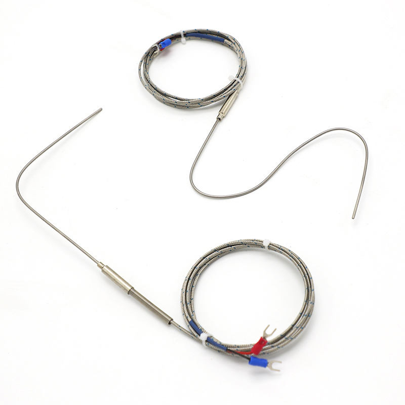 Thermocouple flexible blindé à aiguilles, type K, thermocouple haute température et haute précision à 2 fils avec capteur RTD PT100 étendu