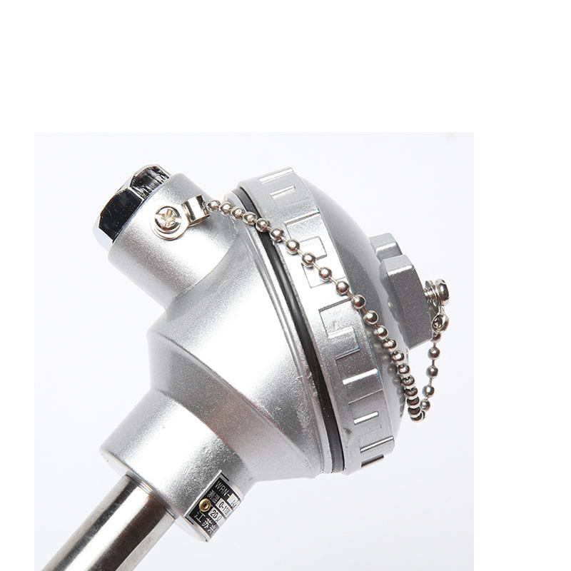 Sonde de capteur haute température pour four thermocouple platine-rhodium de type S/B/R de 0,2–0,4 mm de diamètre pour métaux en fusion