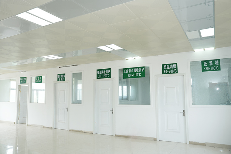 Jiangsu Zhaolong Electrics Co., Ltd.